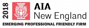 2018 Emerging Professional Friendly Firm logo